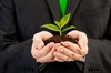 Business Sustainability Means Eco-Sustainability