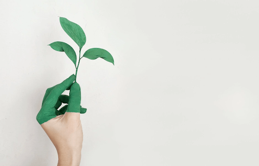 Here's How Your Small Business Can Go Green!